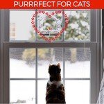 Transparent Acrylic Window Bird Feeder with Strong Suction