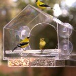 Transparent Acrylic Window Bird Feeder with Strong Suction
