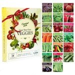 20 High Yield Vegetable Seed Varieties Pack