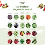 20 High Yield Vegetable Seed Varieties Pack