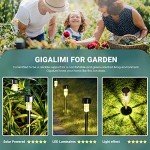 16 Pack Solar Path Lights for Outdoor Gardens