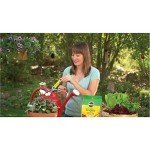 Miracle-Gro Watering Can Singles with Plant Food