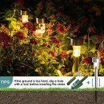 16 Pack Solar Path Lights for Outdoor Gardens
