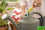 Miracle-Gro Watering Can Singles with Plant Food