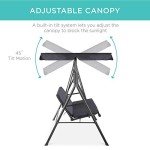 Gray 2-Person Convertible Canopy Swing Lounge Chair