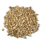 350+ Non-GMO Jewel Mixture Nasturtium Seeds