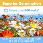 90,000+ Wildflower Seeds for Pollinator Gardens