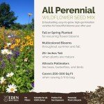 Perennial Wildflower Seed Mix for Planting
