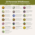 Perennial Wildflower Seed Mix for Planting