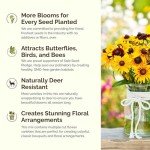 Perennial Wildflower Seed Mix for Planting