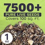 Butterfly & Hummingbird Wildflower Seed Mix - 1 oz