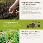 Perennial Wildflower Seed Mix for Planting