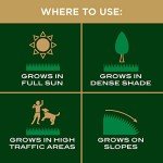 Scotts EZ Seed for Sun and Shade