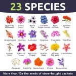 Butterfly & Hummingbird Wildflower Seed Mix - 1 oz