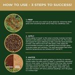 Scotts EZ Seed for Sun and Shade