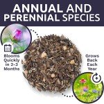 Butterfly & Hummingbird Wildflower Seed Mix - 1 oz