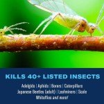 BioAdvanced 12-Month Tree and Shrub Fertilizer 10 lbs