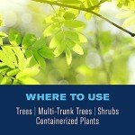 BioAdvanced 12-Month Tree and Shrub Fertilizer 10 lbs