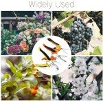 SNUNGPHIR Professional Garden Pruning Shears, Sharp Steel