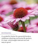 Burpee Wildflower Seeds - 18 Varieties, 25,000 Count