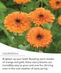 Burpee Wildflower Seeds - 18 Varieties, 25,000 Count