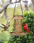 Solar Hanging Bird Feeder - Metal, Assorted Sizes