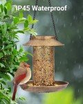 Solar Hanging Bird Feeder - Metal, Assorted Sizes