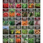 Survival Garden - Heirloom Vegetable Seed Collection