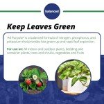 Versatile All-Purpose Garden Fertiliser