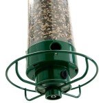 Droll Yankees Squirrel-Proof Bird Feeder in Green