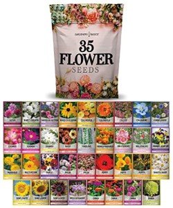 Flower Seed Packets - 35 Varieties for Planting