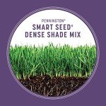 Dense Shade Grass Mix by Pennington – 7 lb