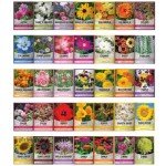 Flower Seed Packets - 35 Varieties for Planting
