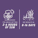 Dense Shade Grass Mix by Pennington – 7 lb