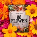 Flower Seed Packets - 35 Varieties for Planting