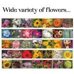Flower Seed Packets - 35 Varieties for Planting