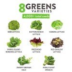 8 Lettuce & Salad Greens Seed Vault, Non-GMO