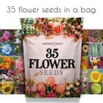 Flower Seed Packets - 35 Varieties for Planting