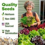 8 Lettuce & Salad Greens Seed Vault, Non-GMO