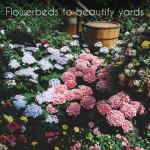 Flower Seed Packets - 35 Varieties for Planting