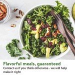 8 Lettuce & Salad Greens Seed Vault, Non-GMO