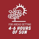 Pennington Smart Seed Perennial Ryegrass 3 lb