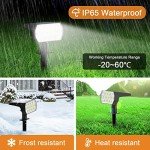 6 Pack Solar Garden Pathway Lights