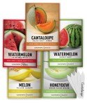 Melon Fruit Seed Variety Packs for Home Gardens