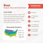 Blue Lake Bush Bean Seed Packets