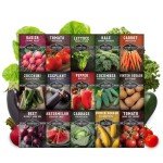 Survival Garden Seeds - 15 Non-GMO Vegetable Mix