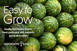 Melon Fruit Seed Variety Packs for Home Gardens