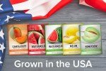 Melon Fruit Seed Variety Packs for Home Gardens