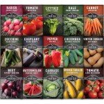 Survival Garden Seeds - 15 Non-GMO Vegetable Mix