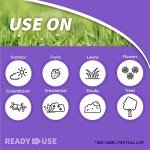 Bonide Gal Albero Annual and Shrub Conc